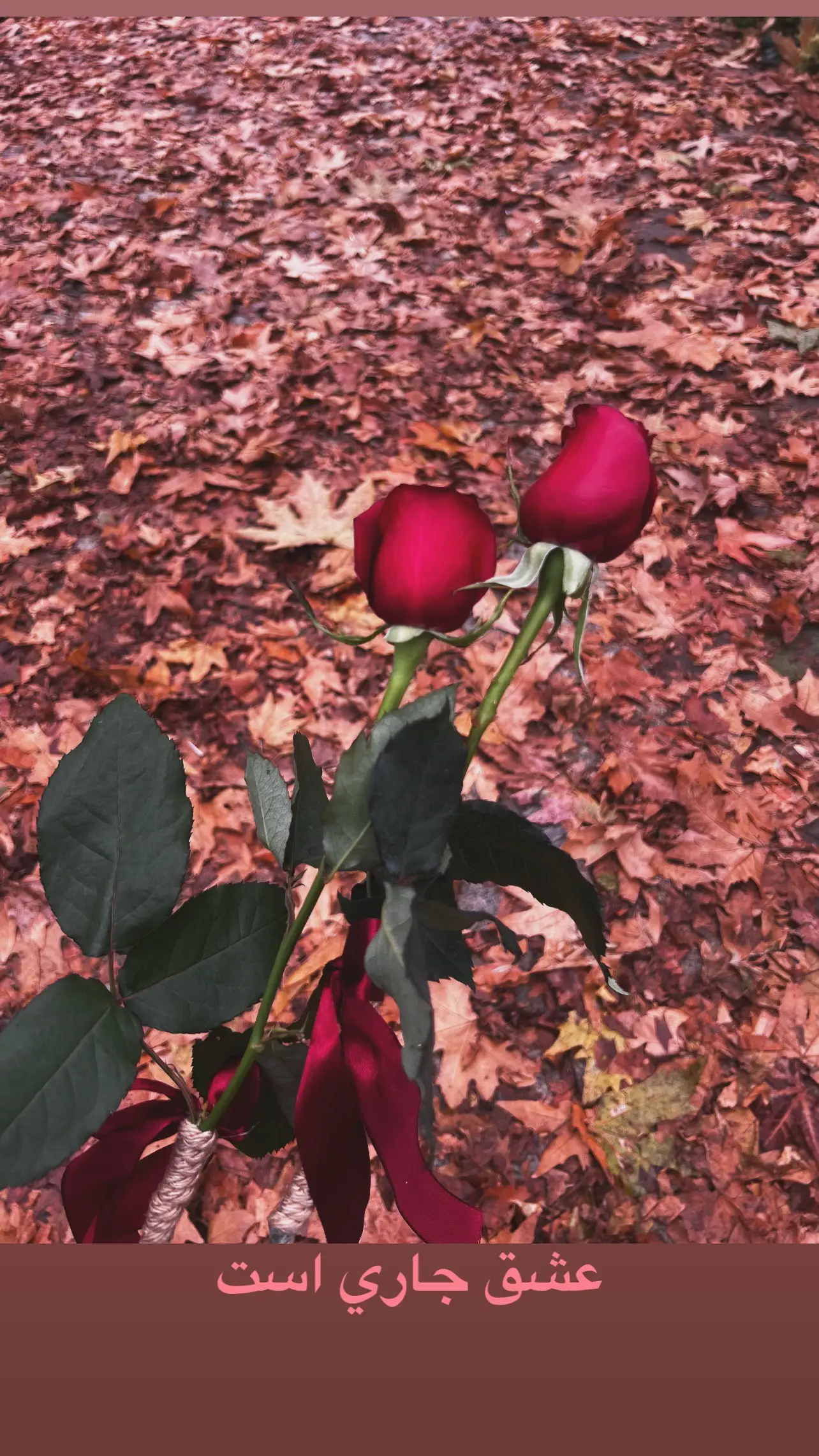 photo_2025-12-15_18-51-08