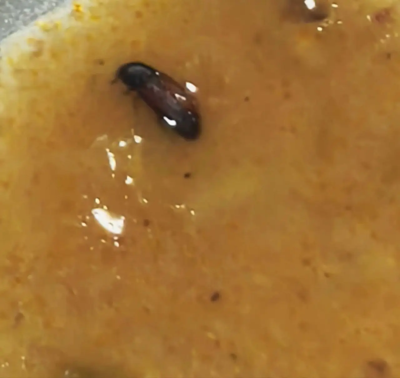 photo_2025-12-15_19-52-40