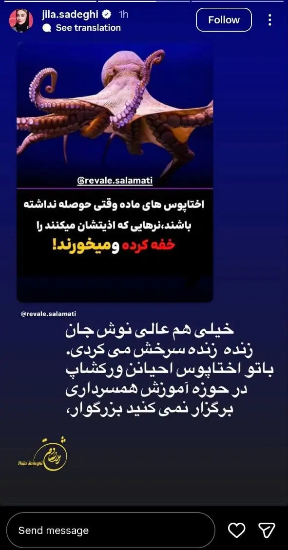 photo_2025-12-16_21-52-04