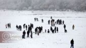 تصاویر شگفت‌انگیز برف بازی مردم در نقش‌جهان اصفهان که قلب شهر را سفیدپوش کرد!