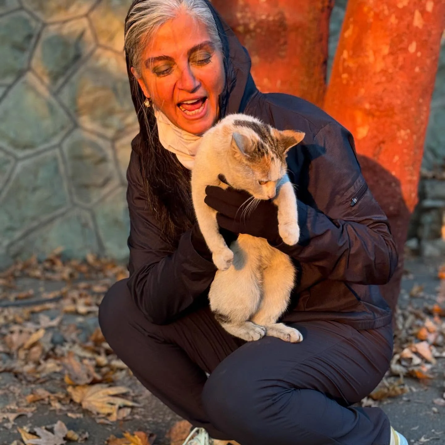 photo_2025-12-20_11-48-27