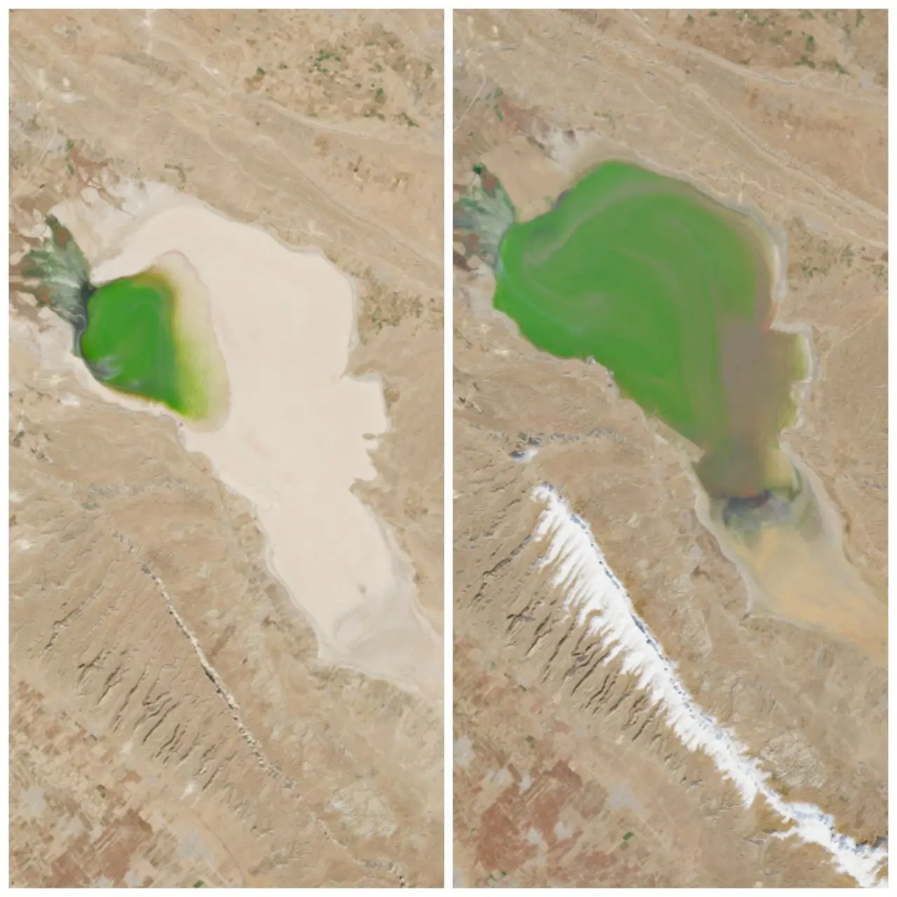 photo_2025-12-25_23-36-29