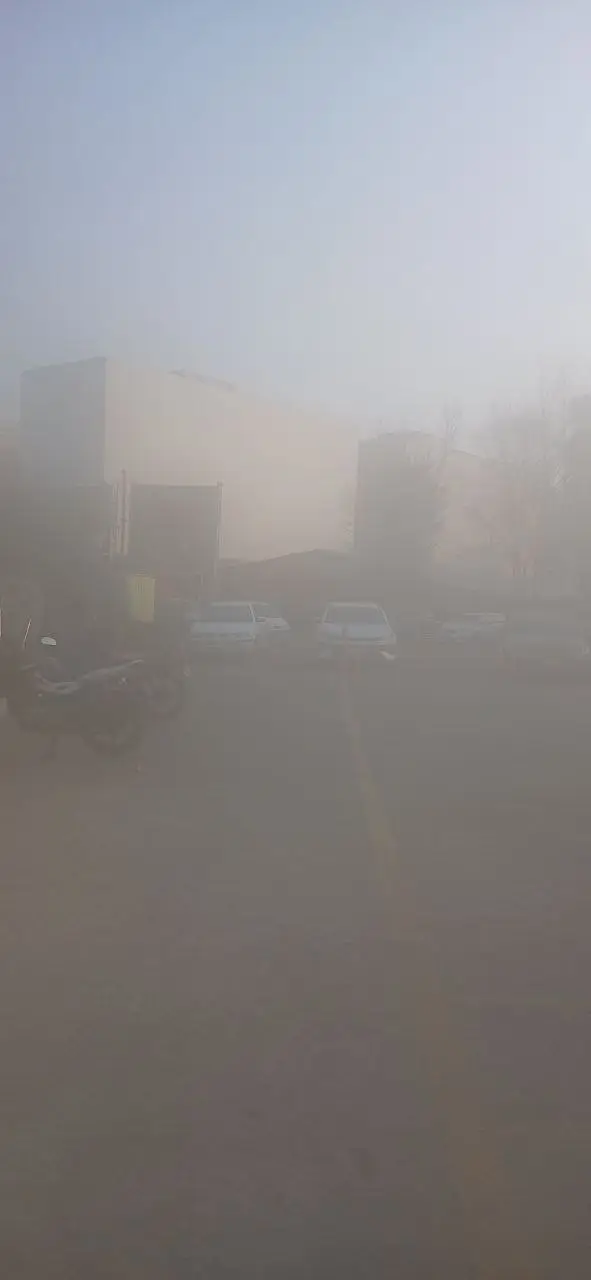 photo_2025-12-26_18-47-58