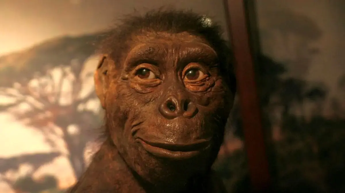 لوسی؛ رازهای حیرت‌انگیز یکی از قدیمی‌ترین اجداد انسان که تکامل را بازنویسی می‌کند!