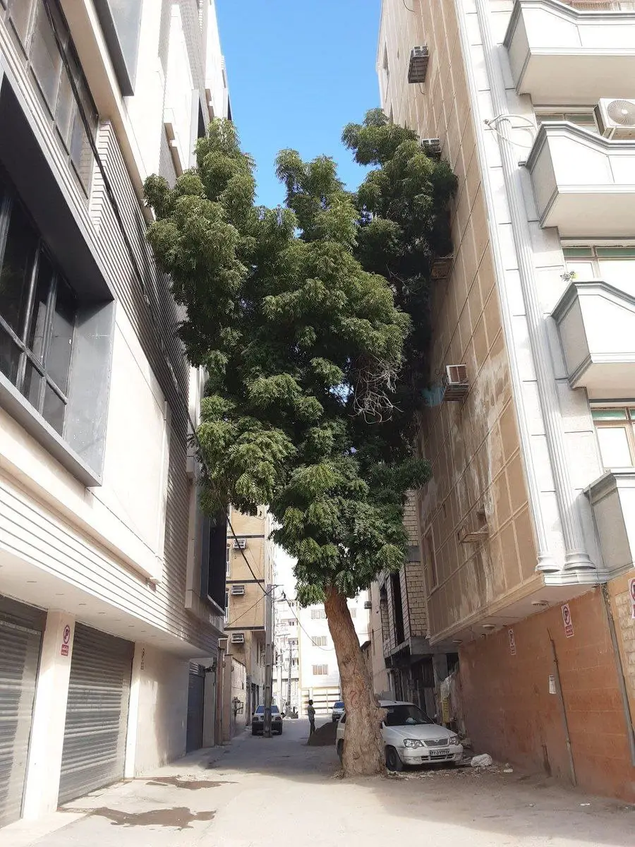 photo_2025-12-26_22-34-39