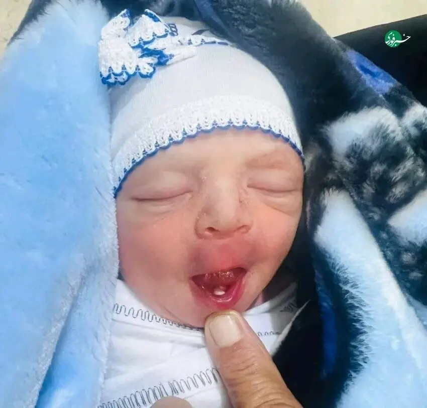 photo_۲۰۲۵-۱۲-۱۴_۲۲-۰۷-۴۳