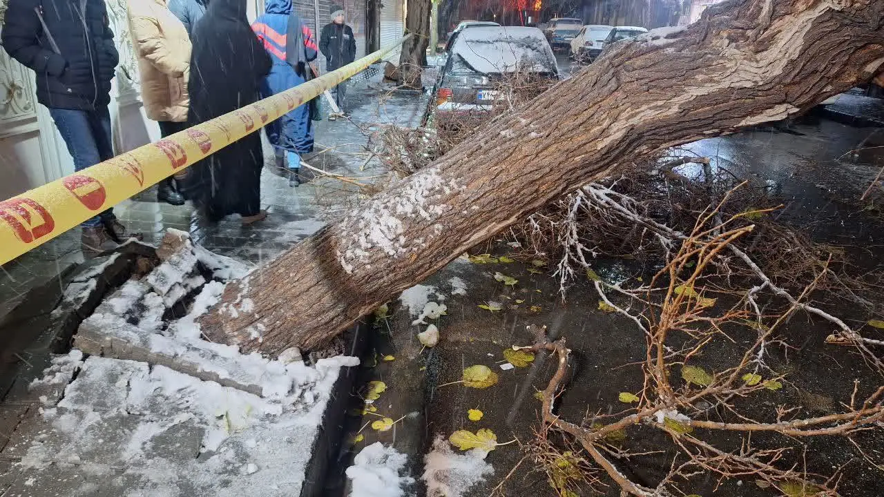 photo_۲۰۲۵-۱۲-۱۹_۲۰-۴۸-۲۹ (2)