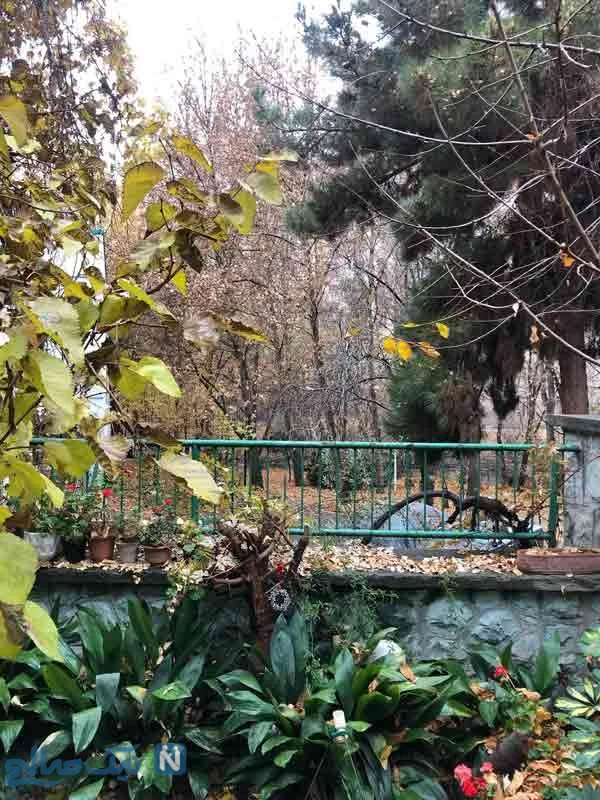 احترام برومند احترام برومند