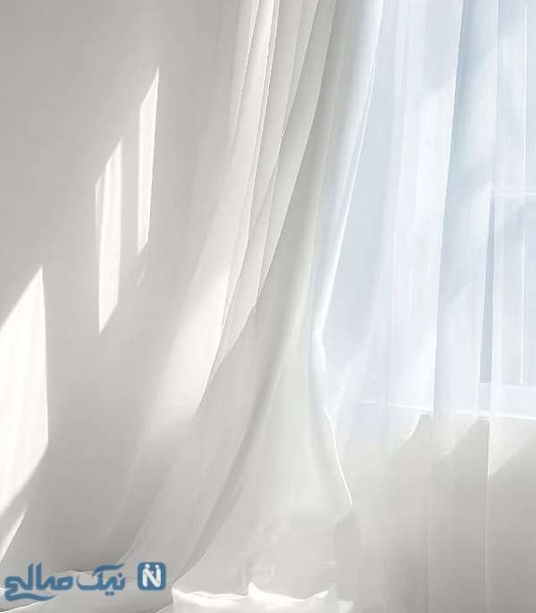 رنگ سال 2026 پنتون