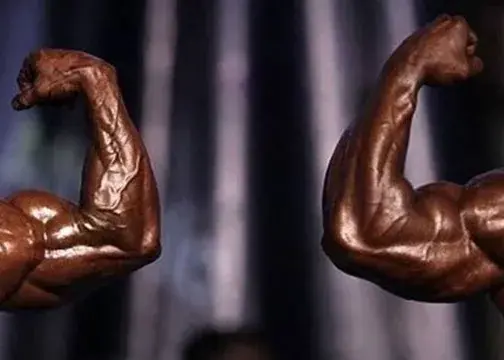 استعلام منفی مدرک تحصیلی؛ انتخابات فدراسیون بدنسازی لغو شد!