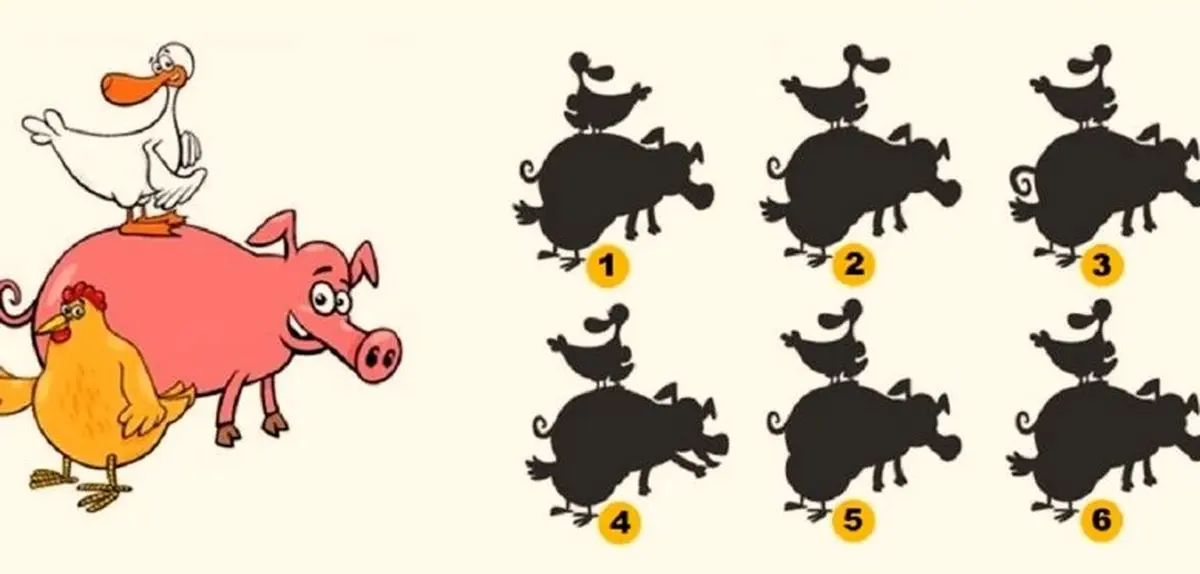 چالش دیدنی: کدام سایه با تصویر اصلی تطابق کامل دارد؟