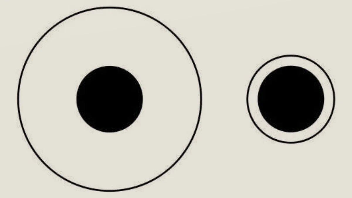 www-bedinsan-ir-2025-12-19_19-48-59_080619 تست هوش دایره سیاه بزرگتر