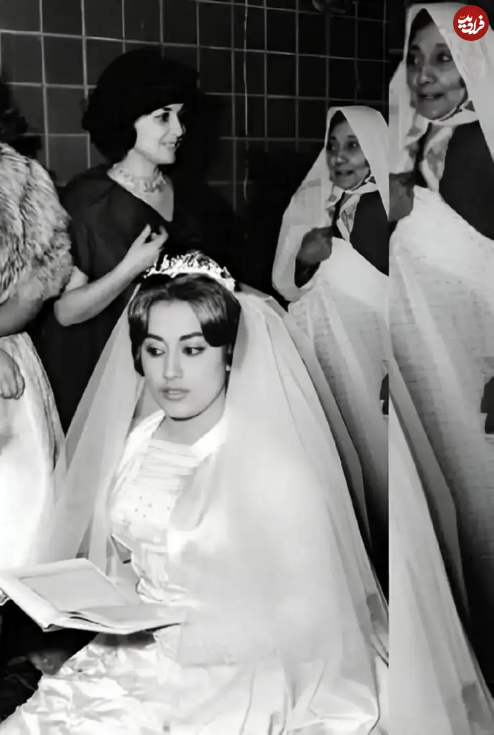 zirkhaki_fiilm_1740470762_3575650374593508814_1917305573_11zon