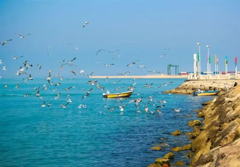 هشدار هواشناسی نسبت به کاهش دما و خطر سرمازدگی در استان بوشهر