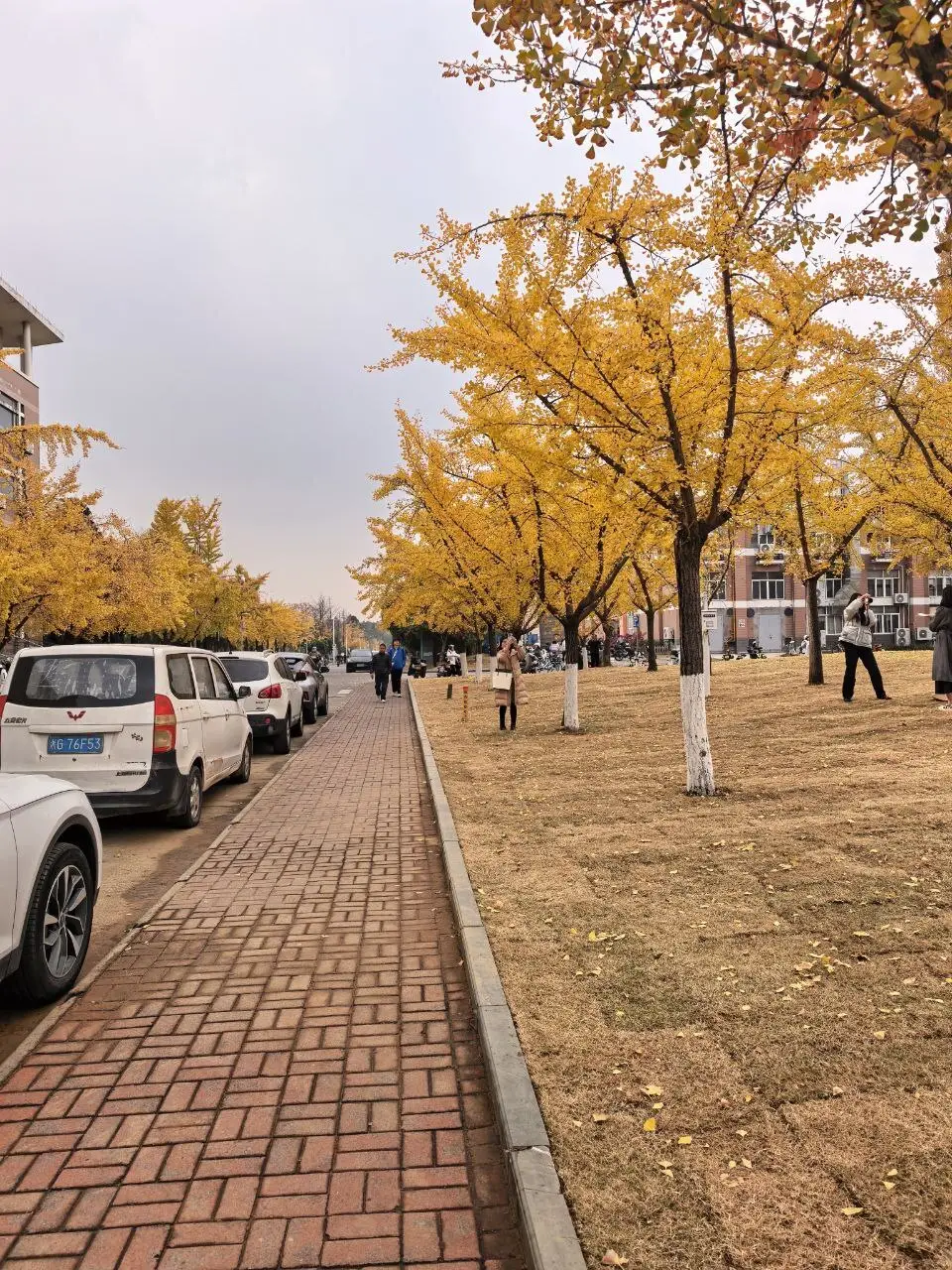 طبیعت پاییزی چین آنچه در چین ندیدم...