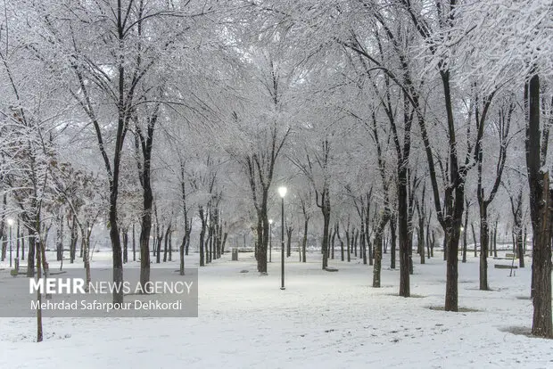 شرایط یخبندان در استان ایلام همچنان حاکم است