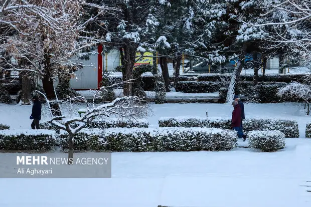 برف امید بر کویر تشنه؛ رویای کودکان باریدن گرفت