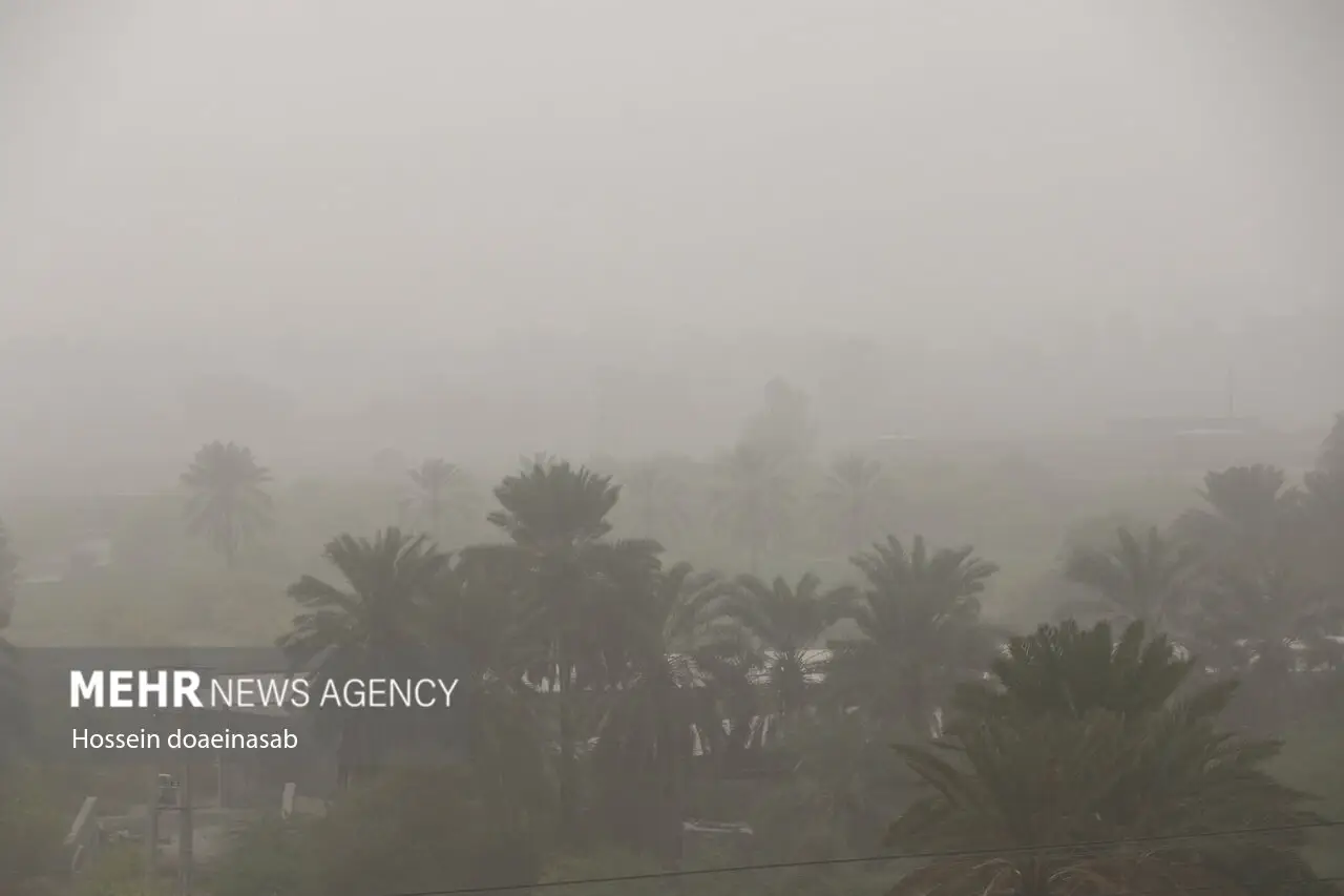 ورود طوفان و گرد و خاک به هرمزگان؛ گرد و خاک هشتبندی را در نوردید