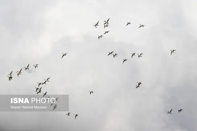 هوای خوزستان؛ ۱۳ شهر «قابل قبول»، ۴ شهر «نارنجی»