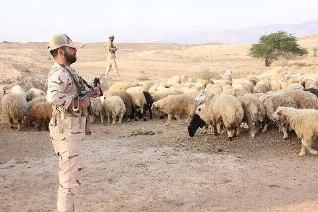 کشف و توقیف بیش از ۴۵۰۰ رأس احشام قاچاق در مریوان