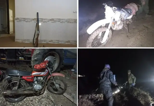 کشف لاشه چهار قطعه پرنده آبزی در تالاب بین المللی گمیشان