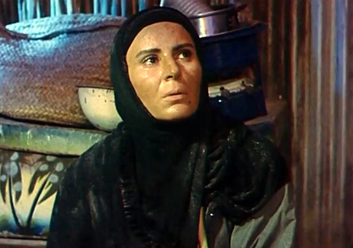 گلچهره سجادیه در فیلم سرزمین خورشید