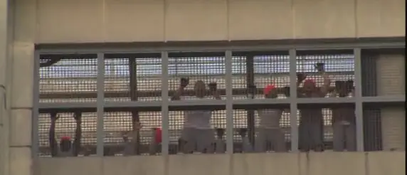 photo_2026-01-04_02-20-28