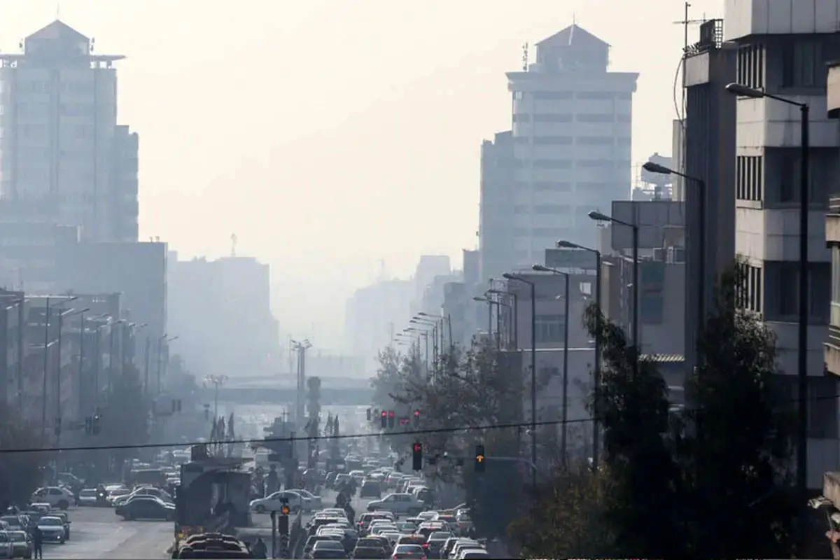 photo_2026-01-04_21-38-44